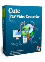 flv video converter